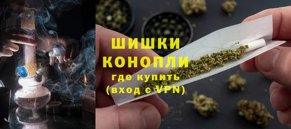 амф Инсар
