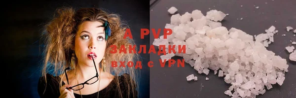 амф Инсар
