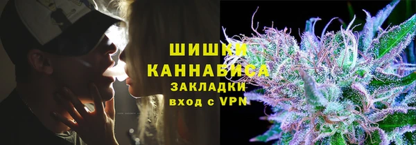 амф Инсар