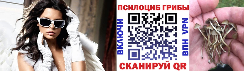 Купить закладки  Амурск  Псилоцибиновые грибы мицелий 